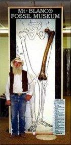 Бедрената кост, направена от Джо Тейлър по данни за открити кости на гиганти в Близкия Изток, за които той лично получил писмо от очевидец.
