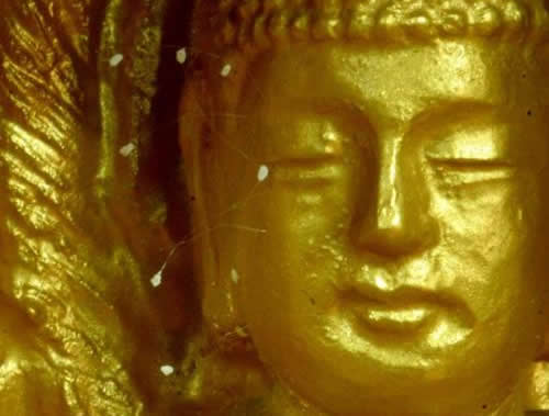удумбара на Буда статуя, udumbara